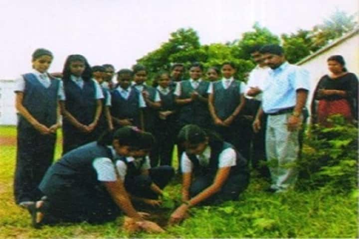 Seven Hills School-Plantation