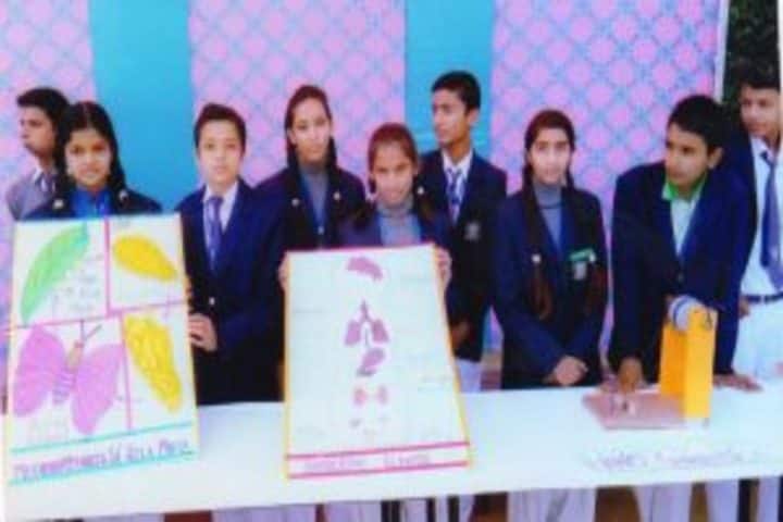 Shaheed Manveer National School-Exhibition