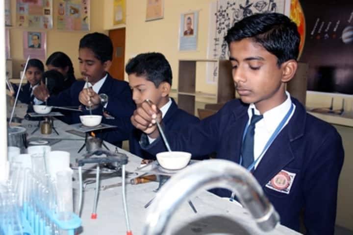 Shyama Devi Public School- Chemistry