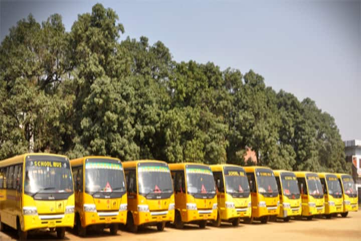 Spring Bell School-Transport