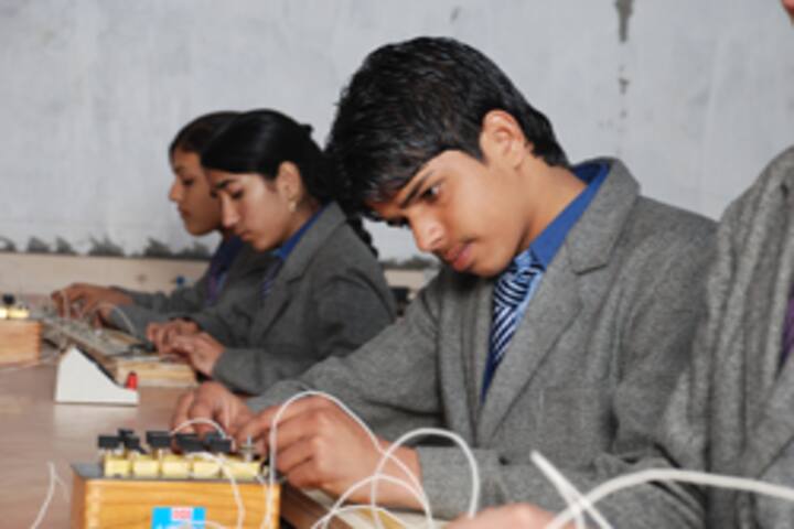 Spring Dales Public School-Project Work