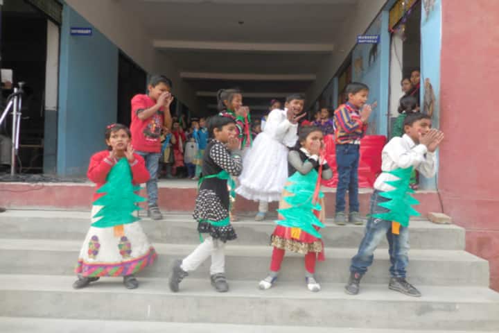 St Francis School-Activity