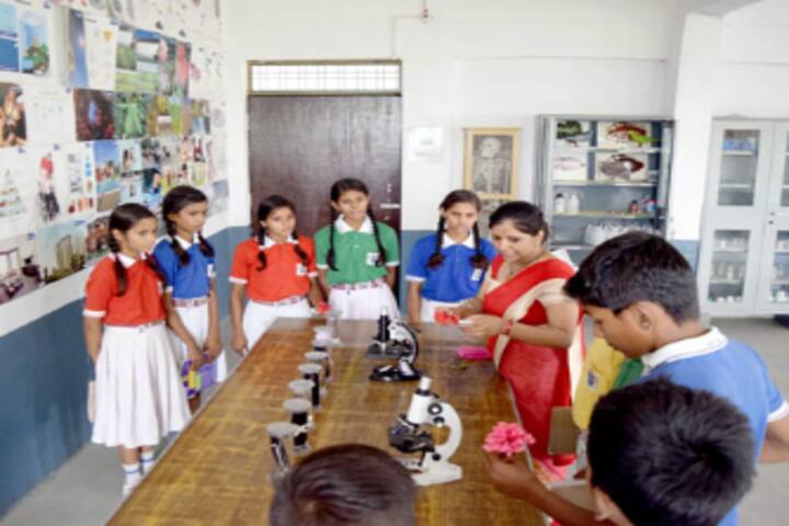 St Francis School-Biology Lab