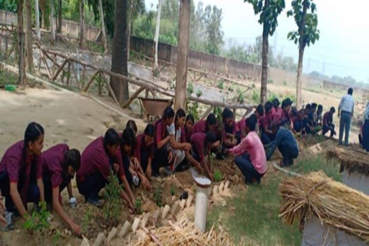 St Marys Convent School-Field Trip