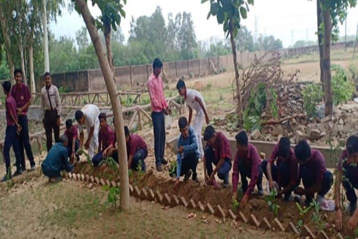 St Marys Convent School-Tree Plantation
