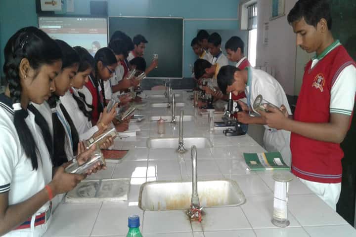 St Xaviers School-Bio Lab