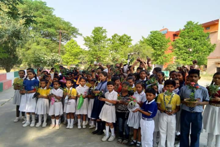 St Francis School-Earth Day