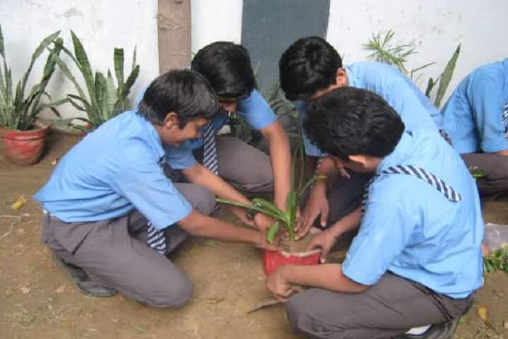 St Pauls Sr Sec School-Plantation