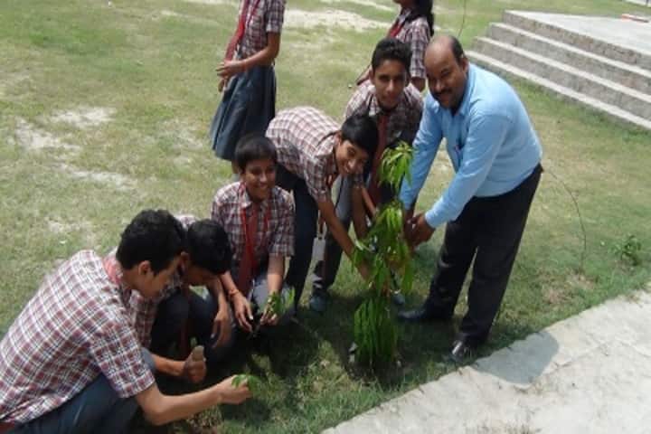 St Thomas International School-Tree Plantion