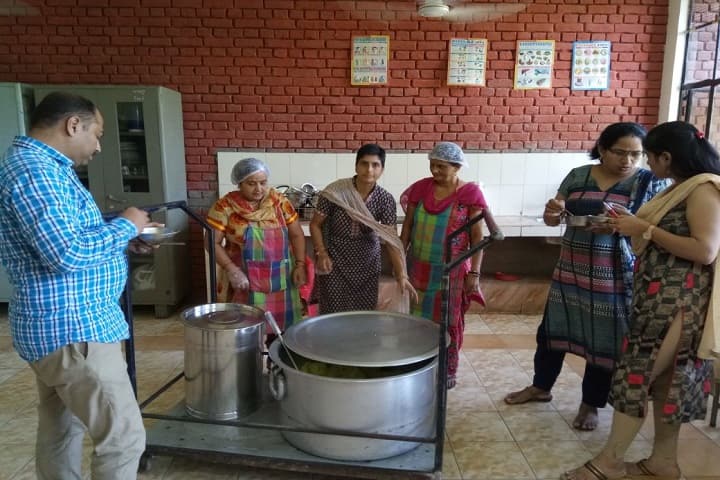Government Model Senior Secondary School-Mid Day Meal