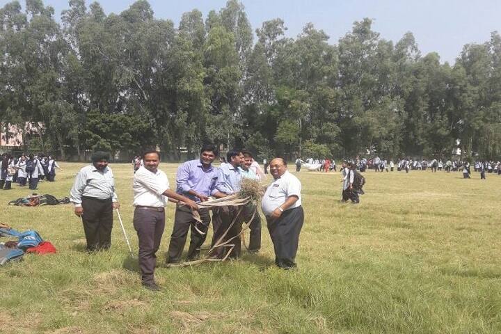Government Model Senior Secondary School-Swachhta