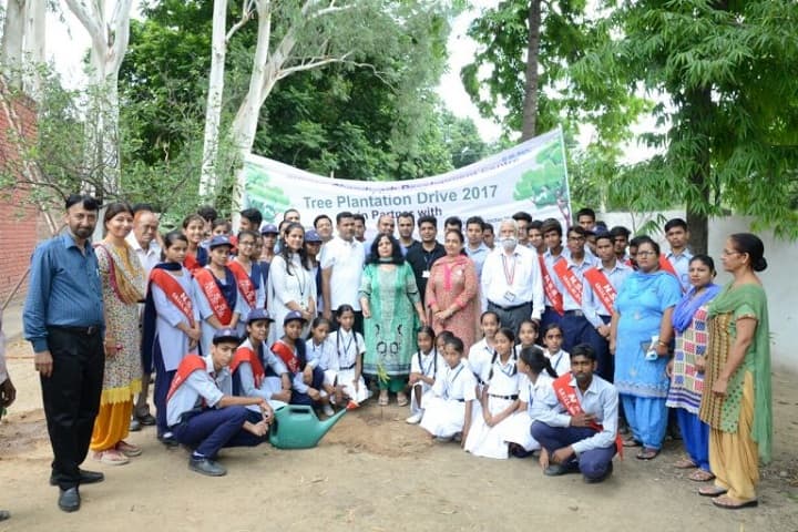 Government Model Senior Secondary School-Tree Plantation