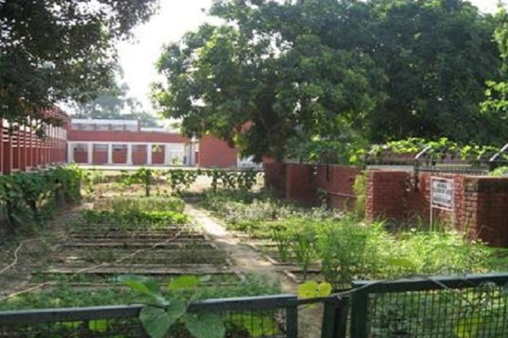 Government Model Senior Secondary School-Garden