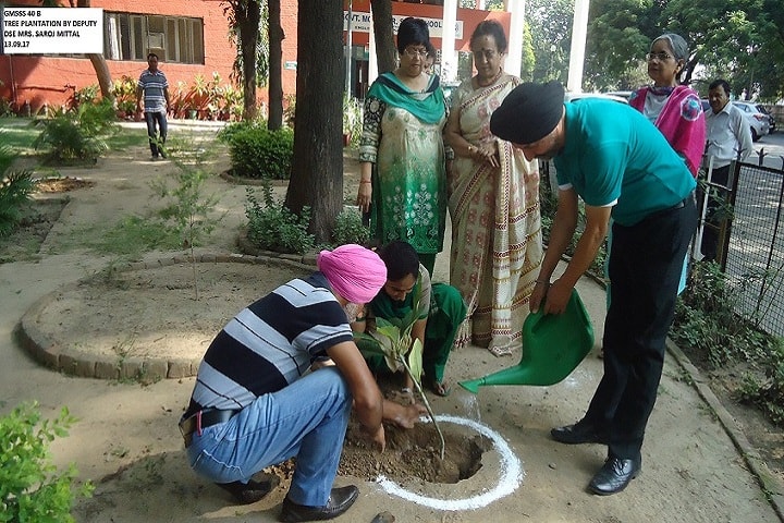 Government Model Senior Secondary School-Tree Plantation