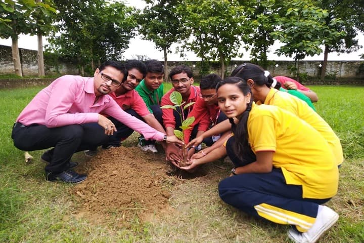Sunbeam School-Tree Plantation
