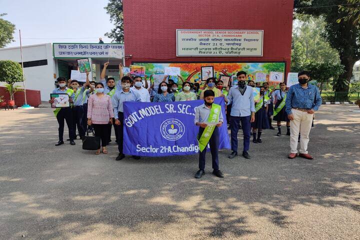 Government Model Senior Secondary School-Rally