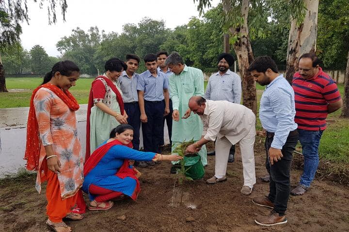 Government Model Senior Secondary School-Tree Plantation