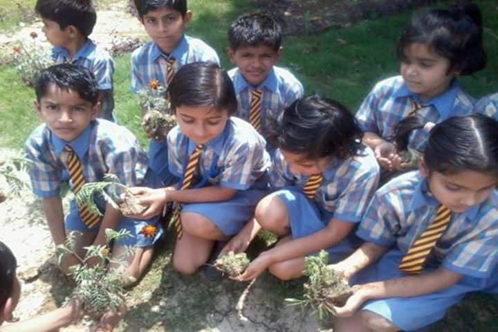 Surevin International School-Plantation