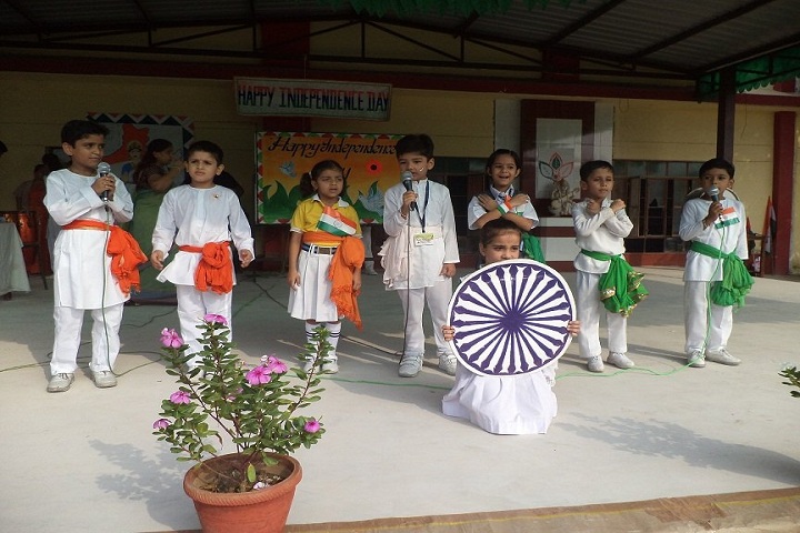 Taxsila Public School-Independance day celebrations