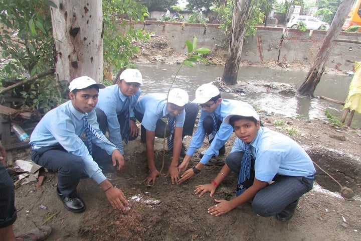 The Avenue Public School-Tree plantation