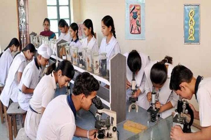 The Cambrian School-Science Lab