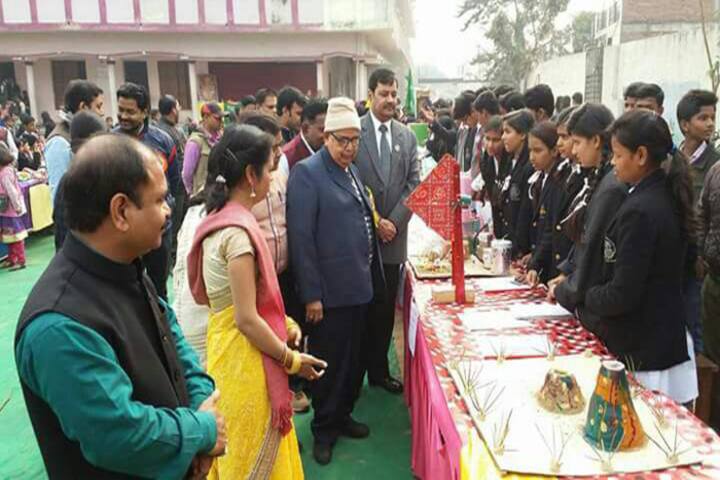 The City Montessori School-School Exhibition