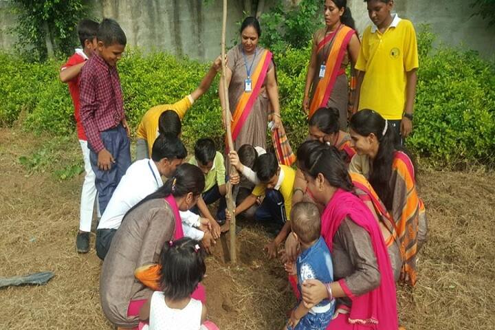 The Divine Mother International School-Plantation