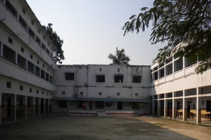 The Pillars Public School-Campus view