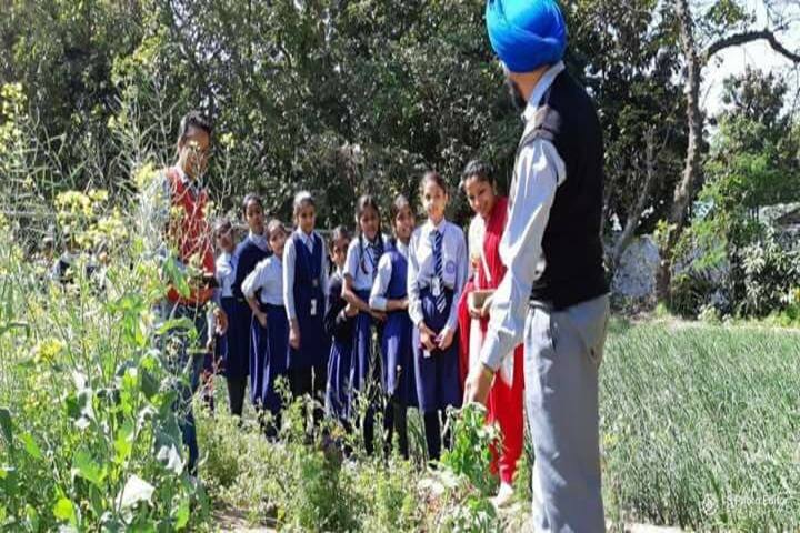 Government Model Senior Secondary School-Field Trip
