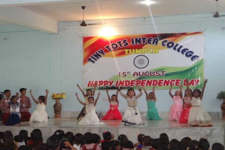 Tiny Tots English Medium School-Independence day celebrations