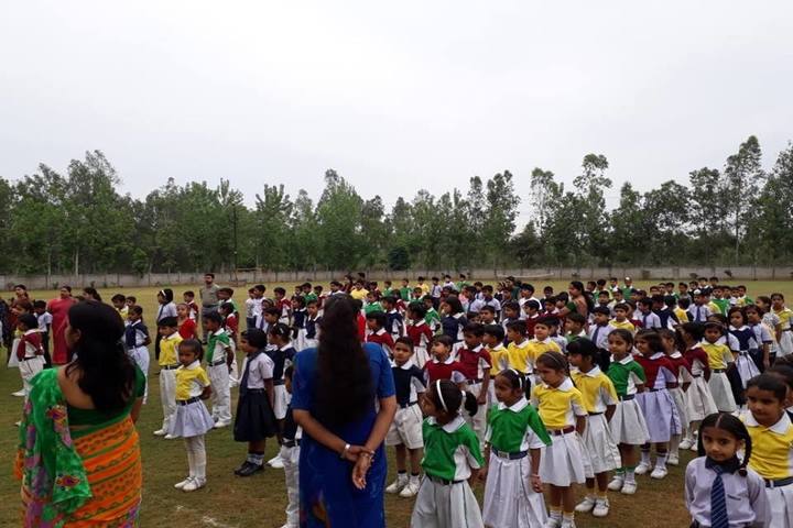 Translam Academy-Assembly