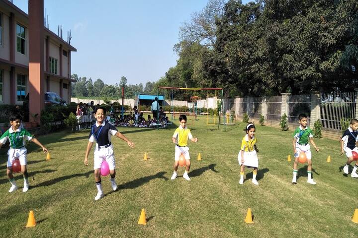 Translam Academy-Sports