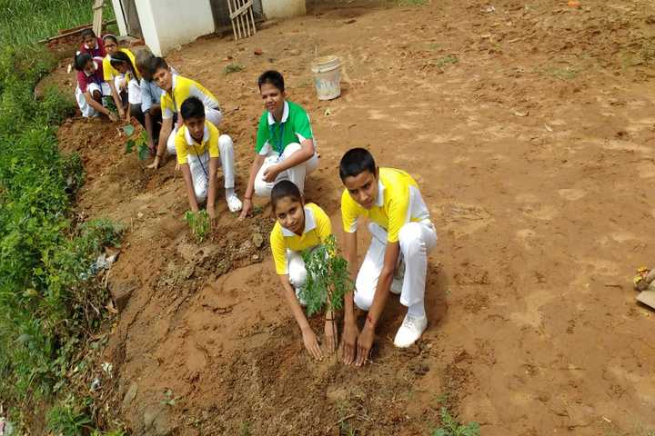 Translam Academy-Tree plantation