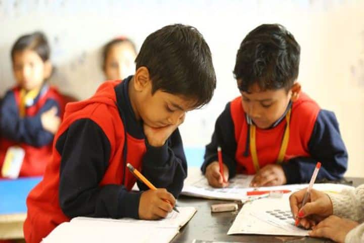 Vanasthali Public School-Activity