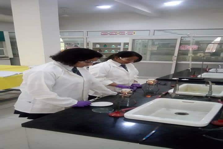 Vidya Global School-Chemistry Lab