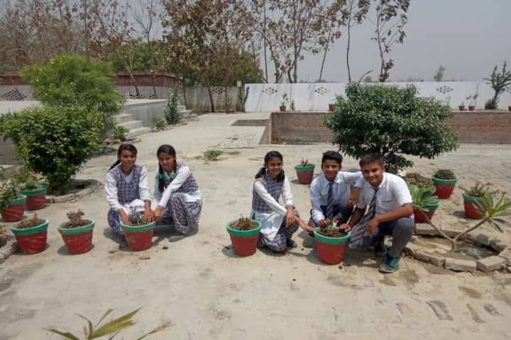 Vidyapeeth Public School-Tree Plantation