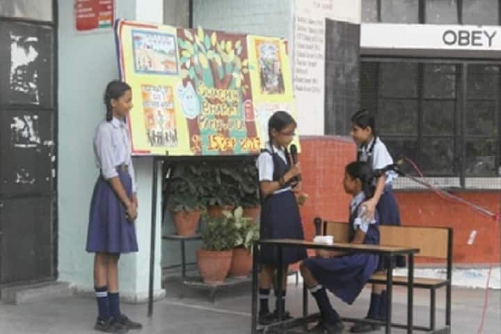 Government Model Senior Secondary School-Activity