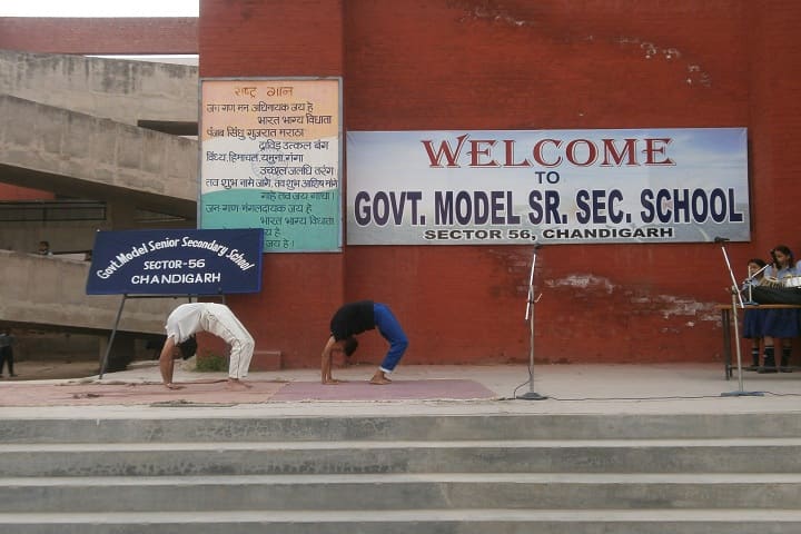 Government Model Senior Secondary School-Yoga Day