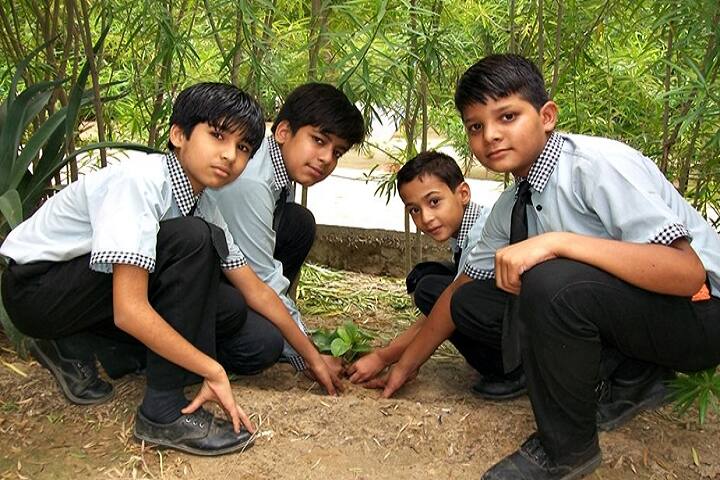 Vrindavan Public School-Green Day