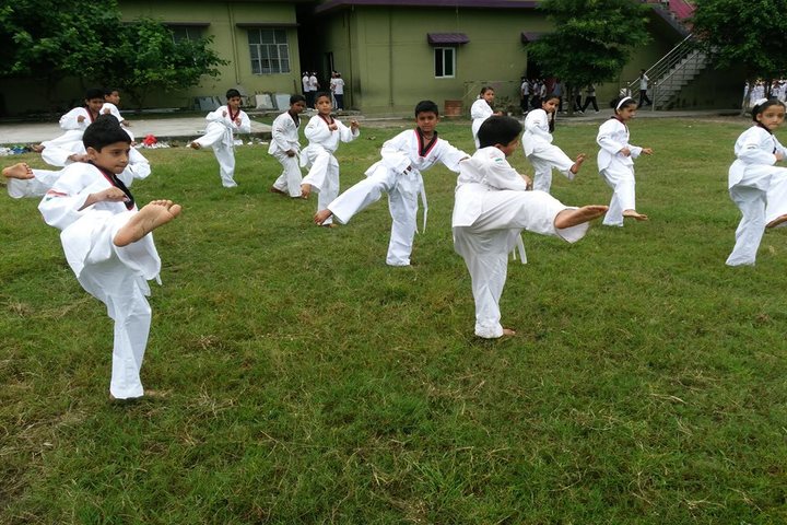 Adarsh Vidya Niketan-Karate