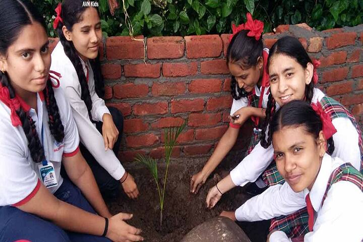 Adarsh Vidya Niketan-Tree Plantation