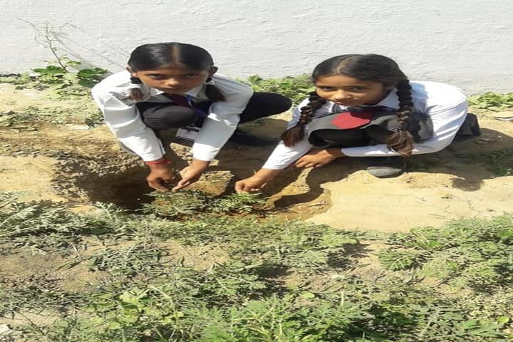 Ambition Public School-Tree Plantation