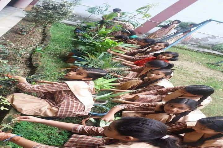 Anand Swaroop Arya Sarawasti Vidya Mandir-Environment Day Celebrations