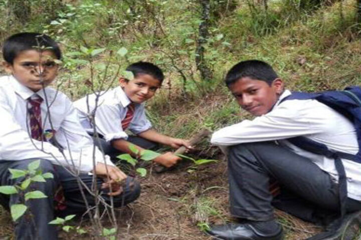 Anand Valley School-Tree Plantation