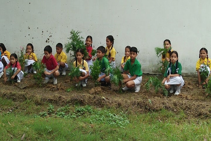 Army Public School-Plantation