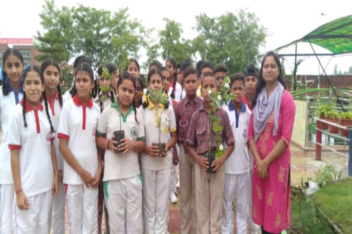 DAV Public School-Tree Plantation
