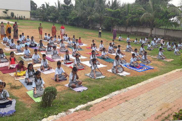 Green City English Medium School - Yoga
