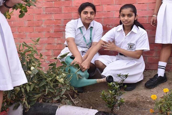 Delhi Public School-Green Day