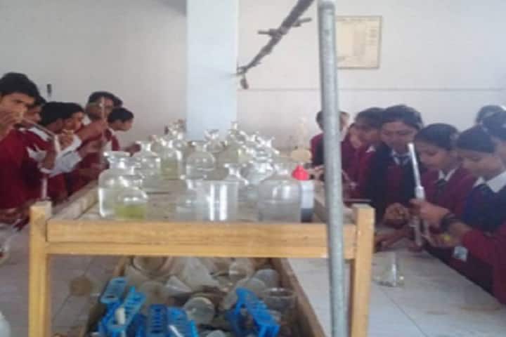 Doon Public School-Chemistry Lab