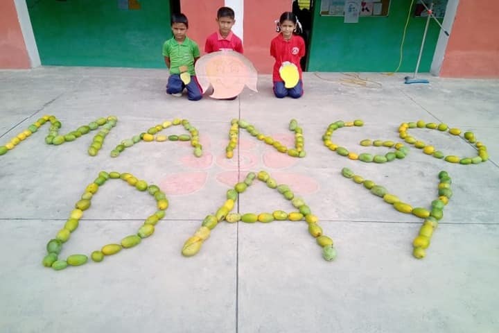 Doon Scholars Public School-Mango Day Celebrations